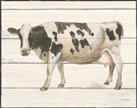 Country Cow VI Fine Art Print