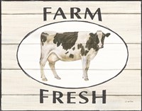 Country Cow IV Fine Art Print