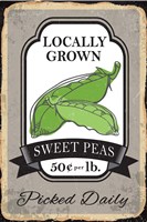 Sweet Peas Framed Print