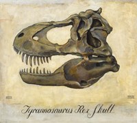 Tyrannosaurus Rex Skull Fine Art Print