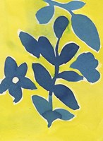 Jardin Amarillo Fine Art Print