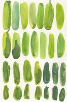 Piedras de Agua Fine Art Print