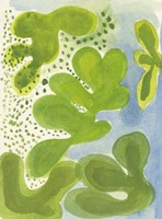 Green Lagoon Fine Art Print