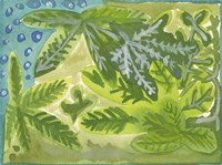 Jungla Mexicana Fine Art Print