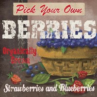 Berries Fine Art Print