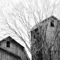 Barn Windows Fine Art Print