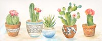 Cactus Pots Fine Art Print