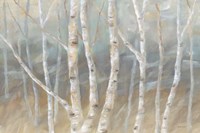 Silver Birch Landscape Fine Art Print