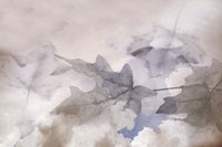 Shadow Leaves Fine Art Print