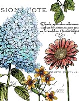 Botanical Postcard Color I Framed Print