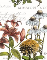 Botanical Postcard Color II Fine Art Print
