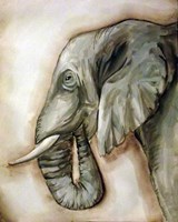 Elephant Portrait Fine Art Print