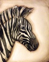 Zebra Portrait Framed Print