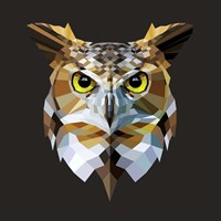 Owl Fine Art Print