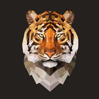 Tiger Fine Art Print