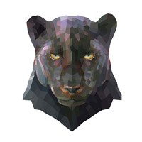Panther Fine Art Print