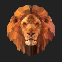Lion Fine Art Print