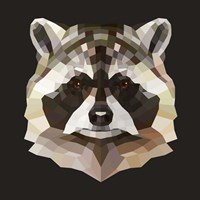 Raccoon Fine Art Print