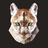 Mountain Lion Fine Art Print