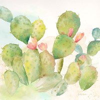 Cactus Garden I Fine Art Print