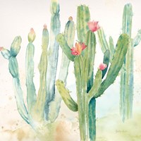 Cactus Garden II Framed Print