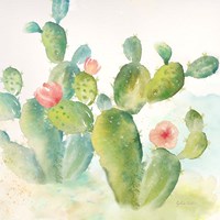 Cactus Garden III Framed Print