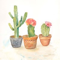 Cactus Pots III Fine Art Print