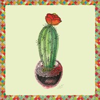 Rainbow Cactus I Framed Print