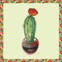 Rainbow Cactus I Fine Art Print