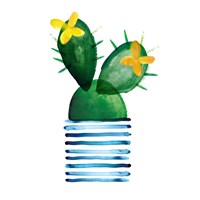 Colorful Cactus I Fine Art Print