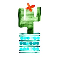 Colorful Cactus II Fine Art Print
