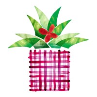 Colorful Cactus V Fine Art Print