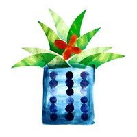 Colorful Cactus VII Fine Art Print