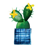 Colorful Cactus VIII Fine Art Print