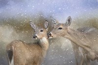 A Mothers Love Fine Art Print