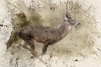 Breaking Limits Fine Art Print