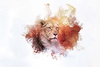 Expressions Lion 2 Fine Art Print