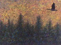 Solitary Goose Fine Art Print