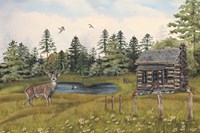 Wilderness Lodge Fine Art Print