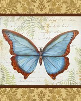 Golden Tapestry Butterfly Fine Art Print