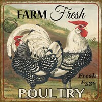 Farmer Fresh Poultry-A Fine Art Print