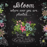 Bloom Where Planted Fine Art Print