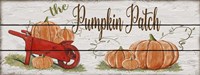 Pumpkin Patch-A Fine Art Print