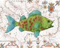 Nautical Treasures-A Fine Art Print