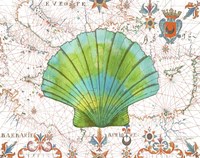 Nautical Treasures-B Fine Art Print