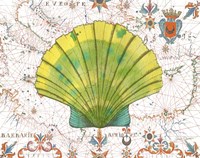 Nautical Treasures-D Fine Art Print