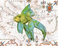 Nautical Treasures-E Fine Art Print