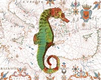 Nautical Treasures-H Fine Art Print