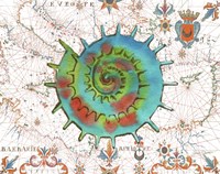 Nautical Treasures-M Fine Art Print