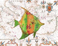 Nautical Treasures-Q Fine Art Print